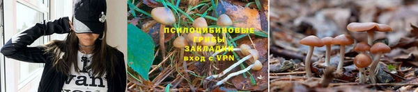 гашиш Балахна