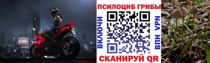 Галлюциногенные грибы ЛСД Пятигорск