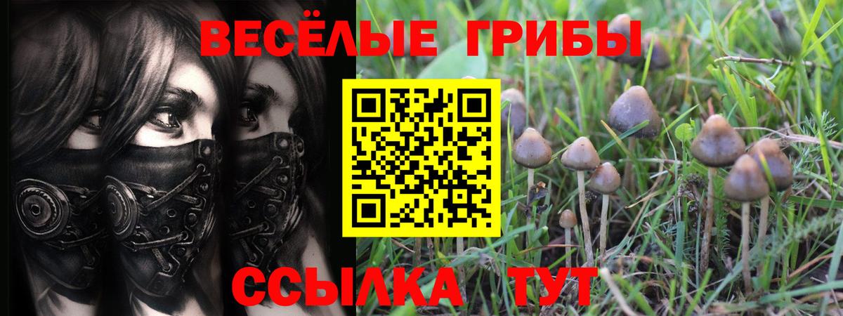 Псилоцибиновые грибы ЛСД Пятигорск